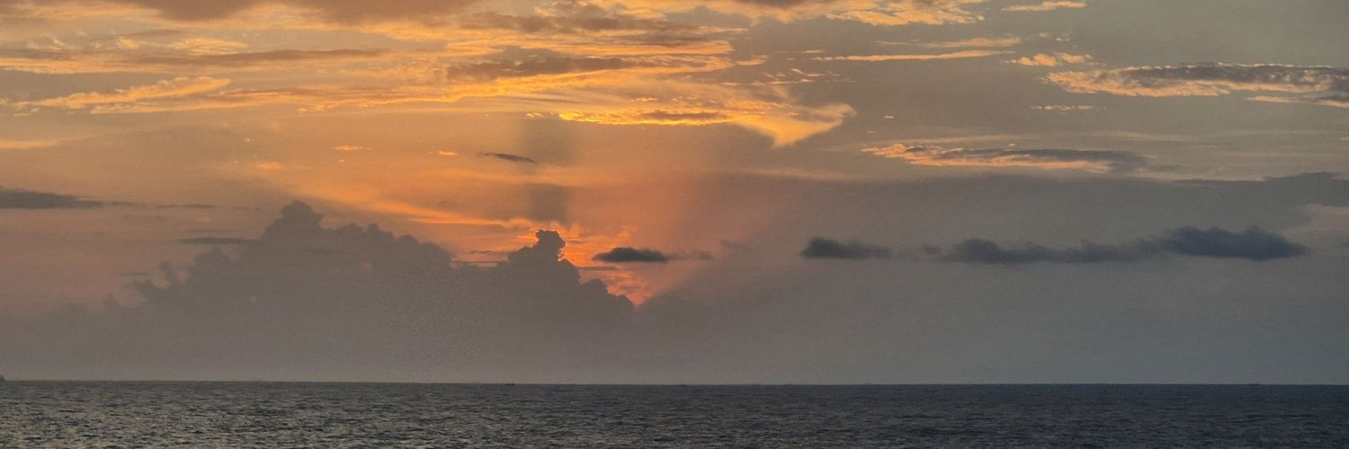 Nerwhidden's profile banner image
