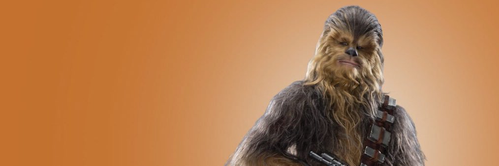 𝘾𝙝𝙚𝙬𝙗𝙖𝙘𝙘𝙖. banner