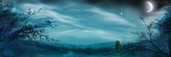 Sasami228's profile banner image
