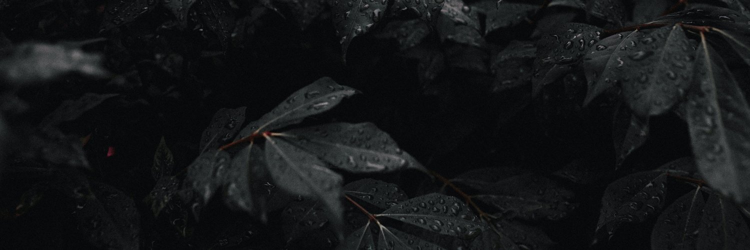 Darktingale's profile banner image
