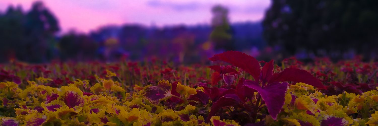 fangircling's profile banner image