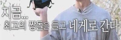 임마 🖤입양처 찾는 예지와 아기들💛's banner