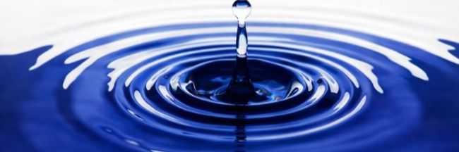 Alfred🇨🇵 banner