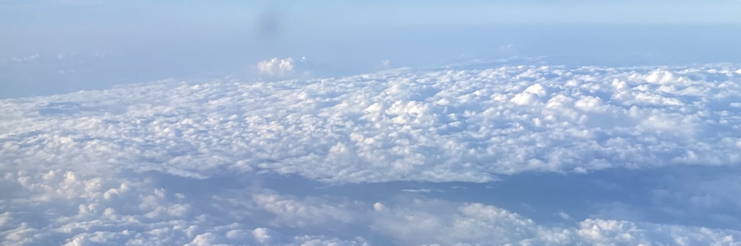 Reanacoo's profile banner image