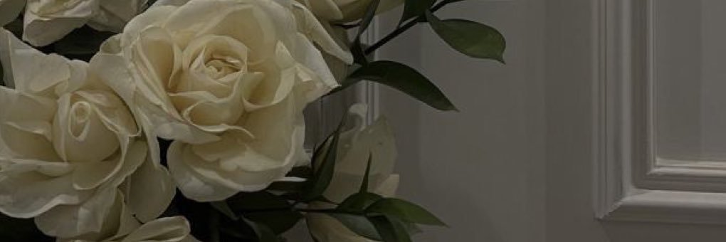 seymattlgn's profile banner image