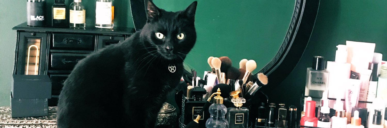 𝔭𝔬𝔰𝔥 𝔤𝔬𝔱𝔥 💀🦇 banner