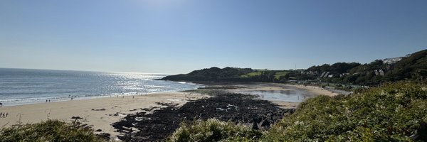 alyciap_ Profile Banner