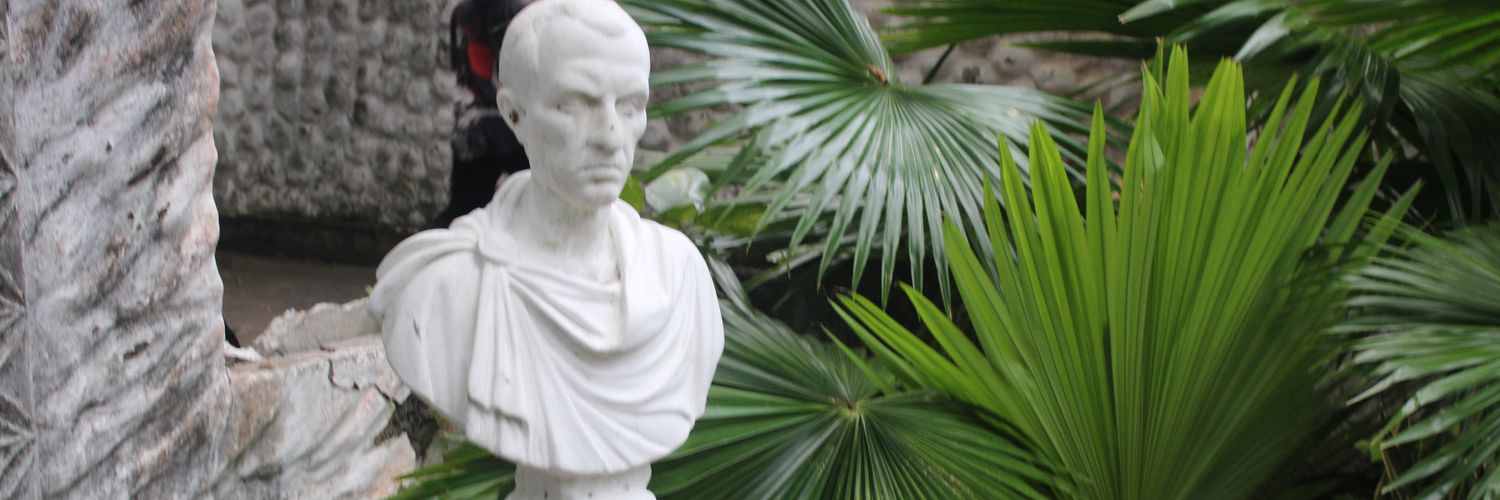 preccinova's profile banner image