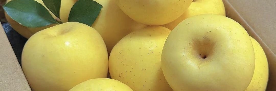 forajojovem's profile banner image