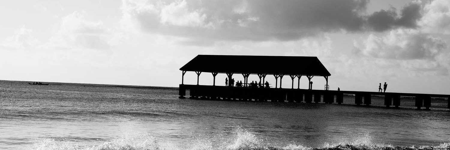 abujaidshekh❤️ Memecoin banner