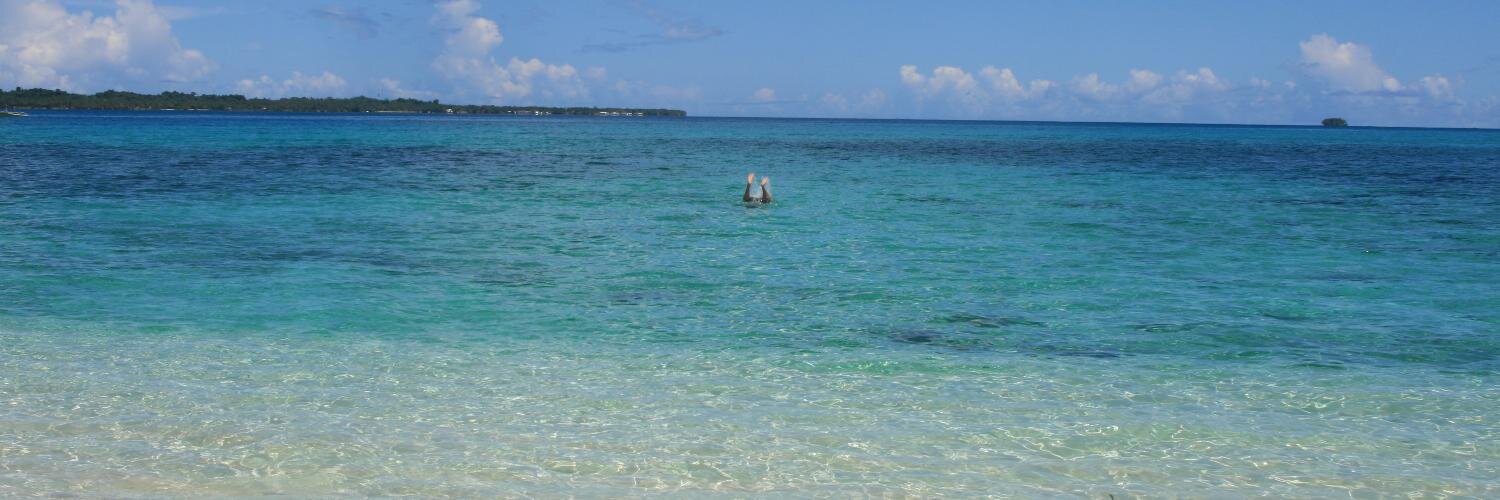 Fiona Spooner banner