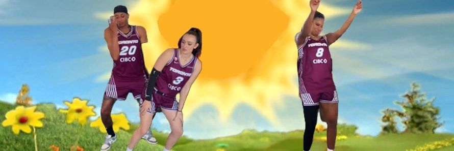 cat_crocodile's profile banner image