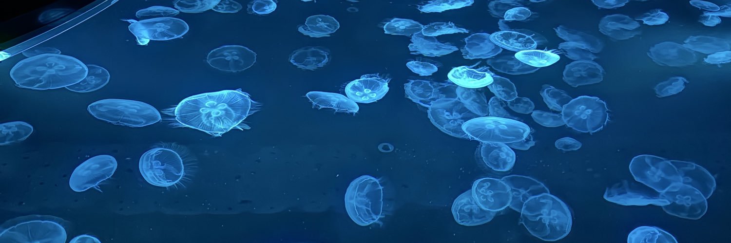 らむ茶 banner
