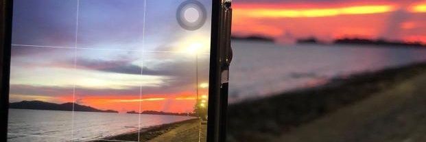 jwtlgl | ᴡᴀʀᴀᴛɪɴ🌷🐶 banner