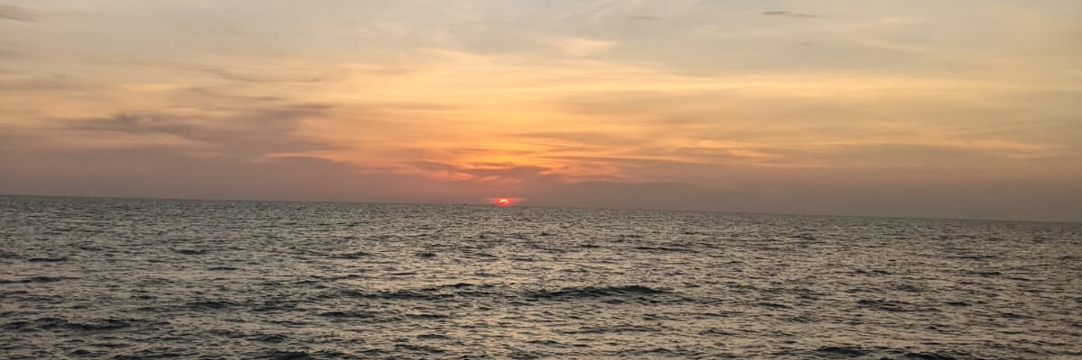 onemole ☹️ banner