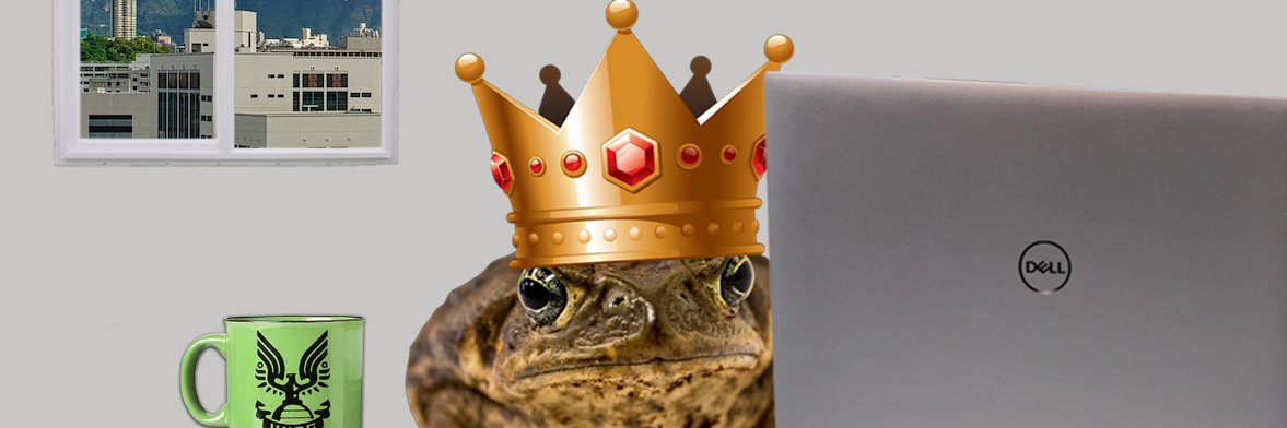 Frog banner