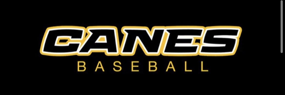 CT Canes Baseball banner