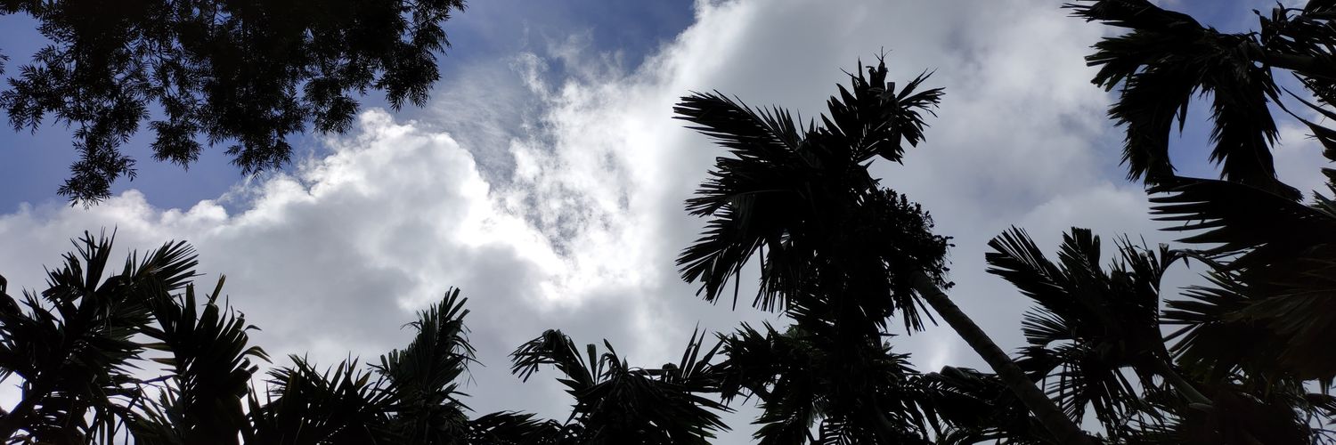 MELVIN MATHEW banner