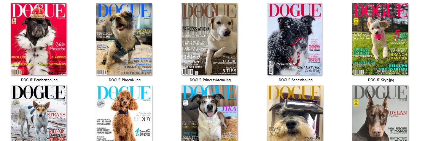 Pet Magazine Covers (@PetMagCovers) / Posts / X