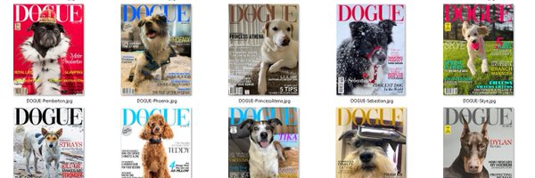 PetMagCovers Profile Banner