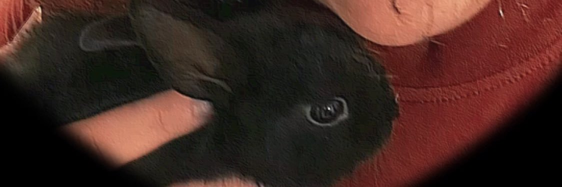 Sam_rdd's profile banner image