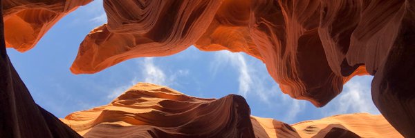 annaxuemd Profile Banner