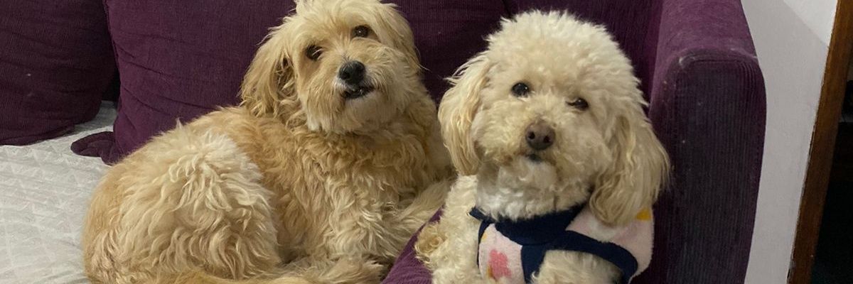 agusmoral7's profile banner image