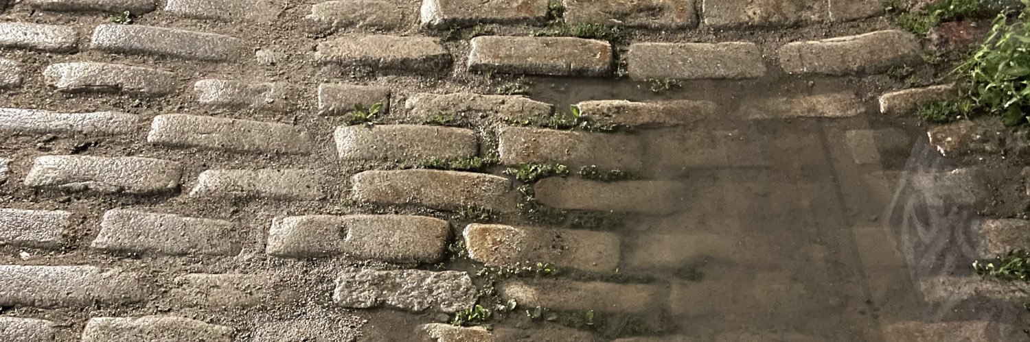 LauraKriss's profile banner image