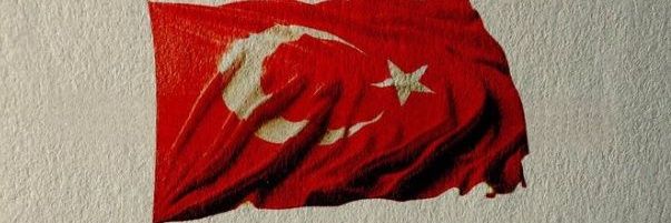 Zeynep banner