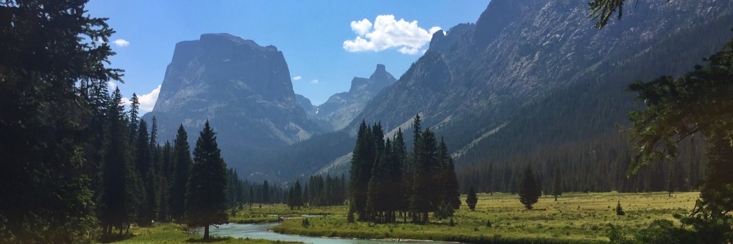 R🪴bert Slavey banner