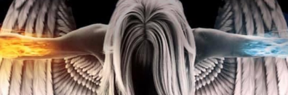 beesodivine's profile banner image