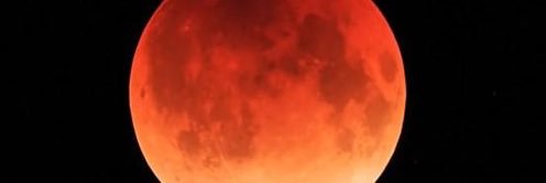 nsqhanshin's profile banner image