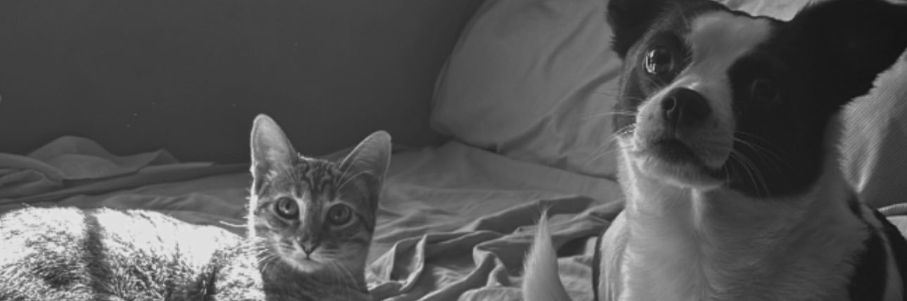 PepaBarrosoF's profile banner image