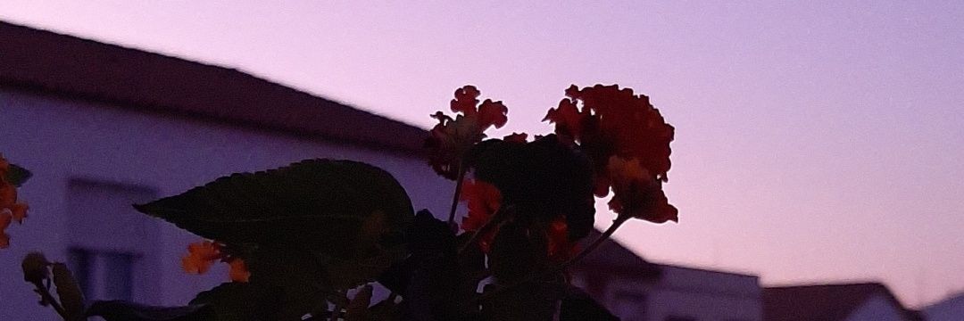 AndreaCp29's profile banner image