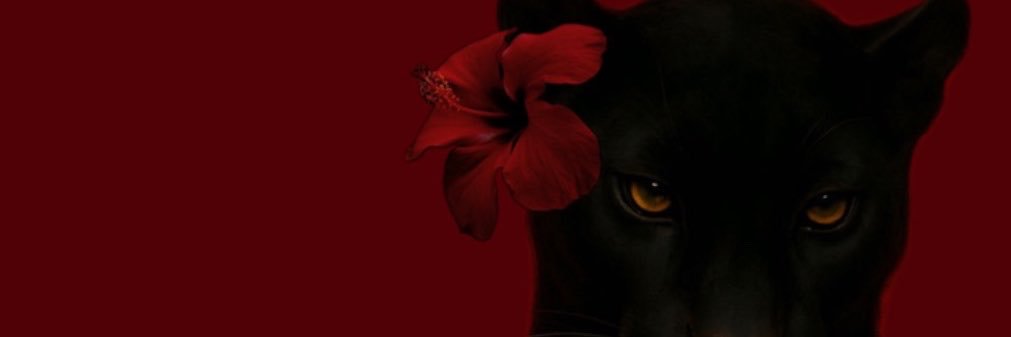 Berfince16's profile banner image
