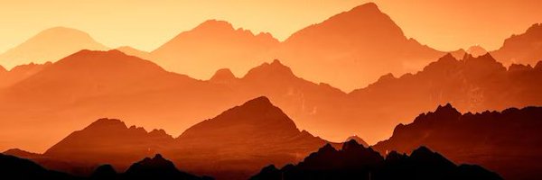 _CryptoSapiens_ Profile Banner