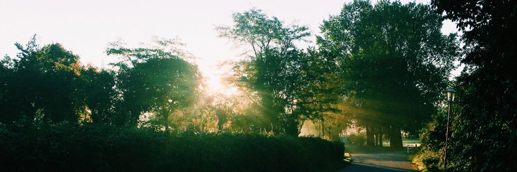 tillidoli's profile banner image