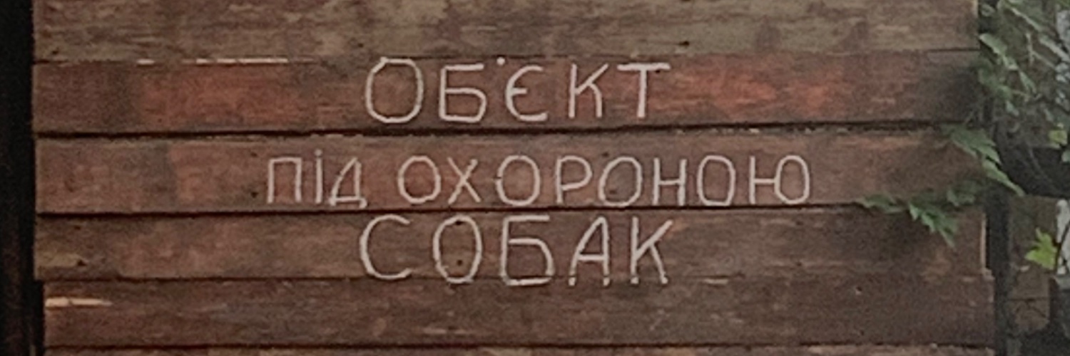 (без)Страшна жінка👁‍🗨👄👁‍🗨's banner