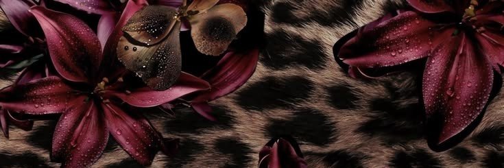 cherry_lyxxxx's profile banner image