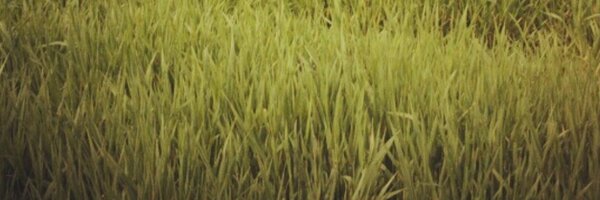 davidmartinyo Profile Banner