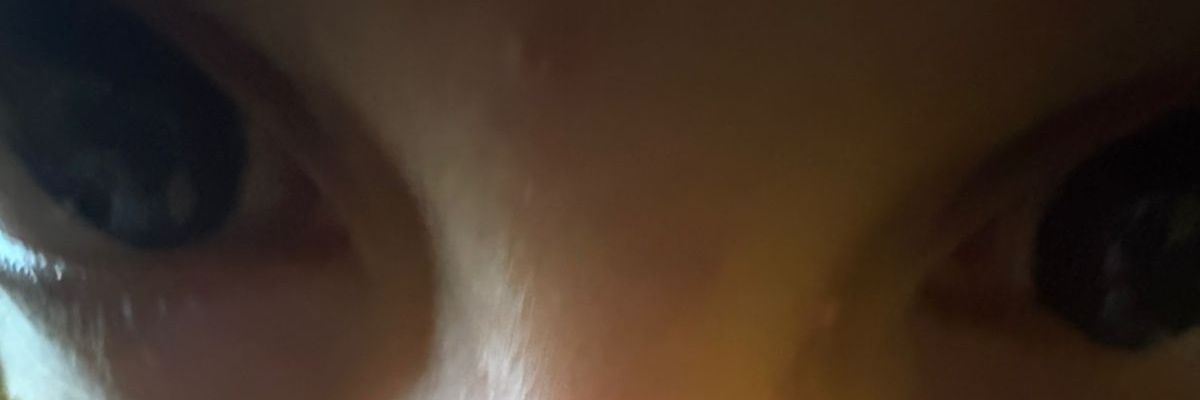 pe 🐞🪲 banner