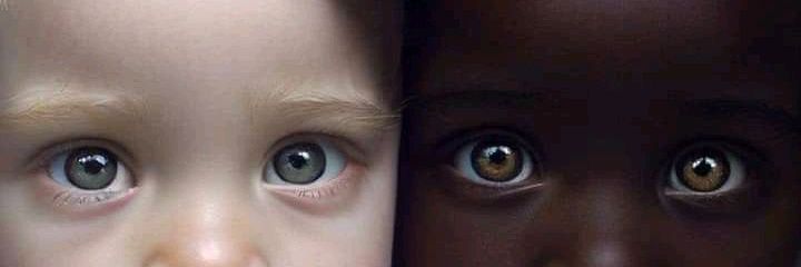 Seyi FitMode | loihas ♣️ banner