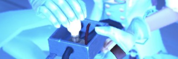 Popomemi3 Profile Banner