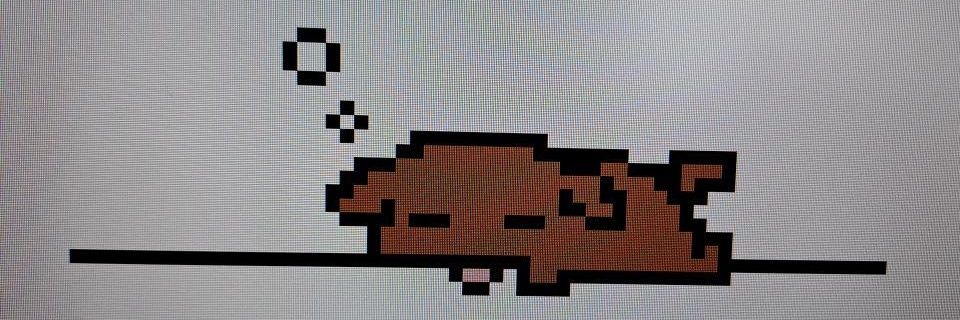simeunworm's profile banner image
