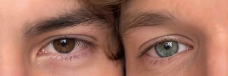 𝓐𝓷𝓪𝓵𝓾𝓪 banner