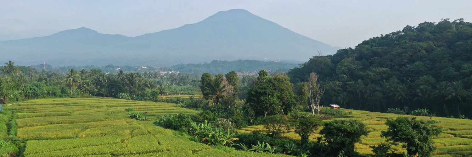 brmppadi's profile banner image