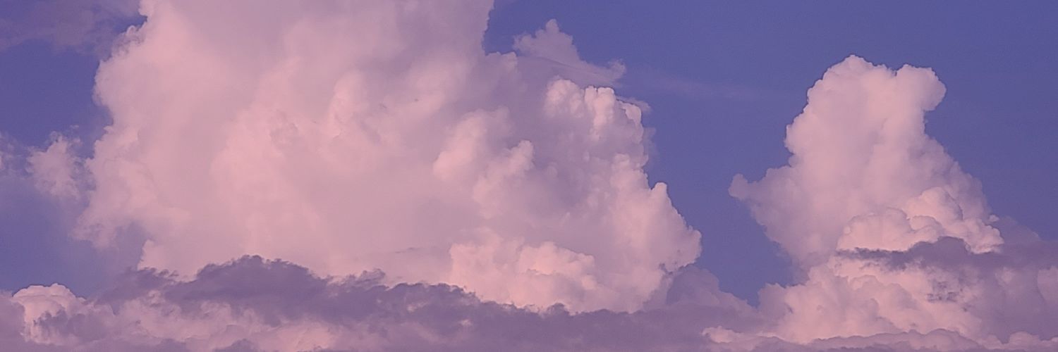 lulanchie's profile banner image