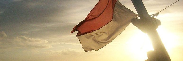 Nia Nathalia banner