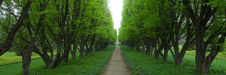 CultivationJobs's profile banner image