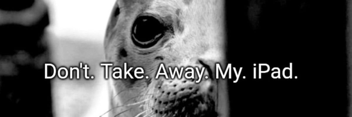 h 🐾 banner